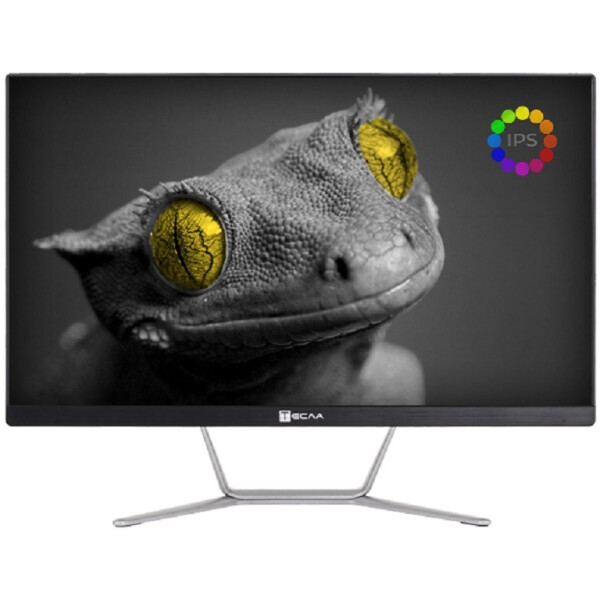 Моноблок Тесла Z24