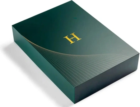 Планшет H-Tab Office 12GB/512GB WINDOWS