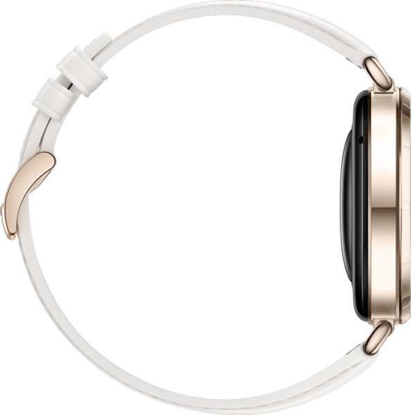 Смарт-часы Huawei Watch GT 6 41мм  KSU-B19 