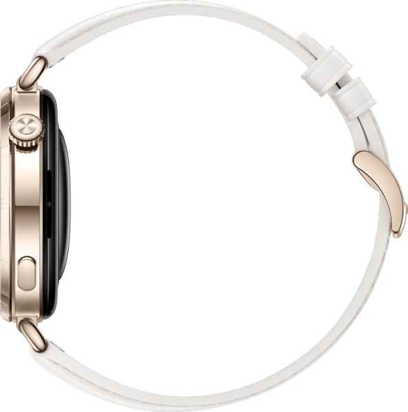 Смарт-часы Huawei Watch GT 6 41мм  KSU-B19 